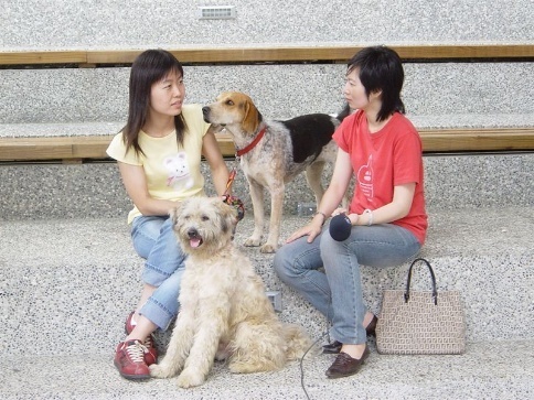 與狗相約的動物友善校園在中華大學