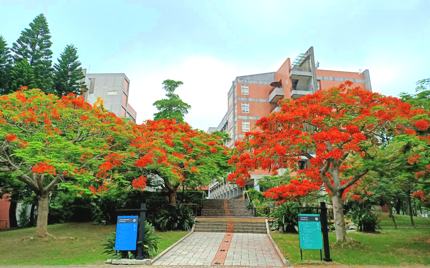 疫情之下,祝福不遲到 華大校長祝福畢業生滿懷希望、迎向美好