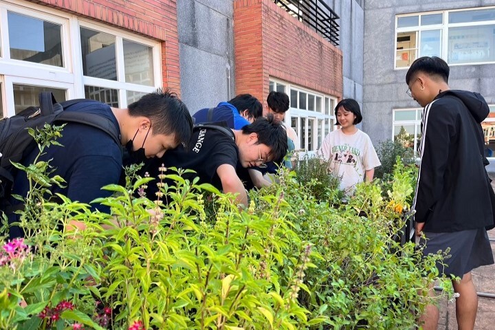 圖／ 中華大學景觀建築學系同學們細心照料「低碳空中花園」植栽。