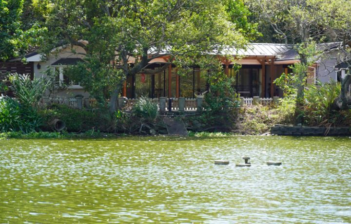 圖/Lago Bistro餐廳位在中華大學鴨子湖畔,風光明媚,景色宜人。