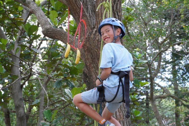 圖/攀樹體驗讓學童相當開心，登頂還可以當場拔香蕉吃。