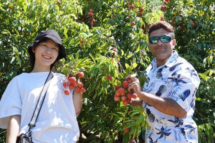 圖/新竹市香山區茄苳里盛產糯米荔枝，皮薄核小、顆粒圓潤飽滿、果肉厚實鮮甜，讓許多外籍生吃了都讚不絕口。