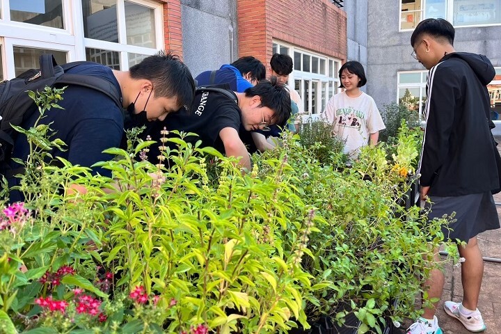 圖／校園配合政府淨零政策，推動綠色、低碳校園永續發展，年初也獲得環保局「低碳改造補助計畫」打造空中花園。