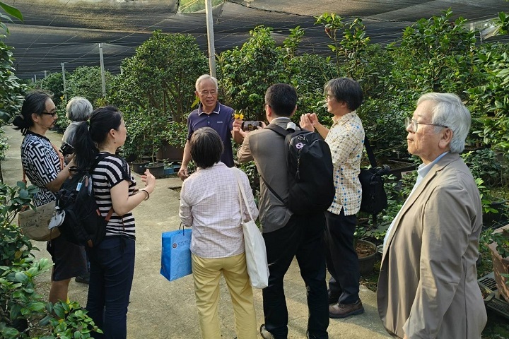 日本貴賓參觀佳信茶花園，蔡燦玉老師親自解說茶花文化與創生亮點。