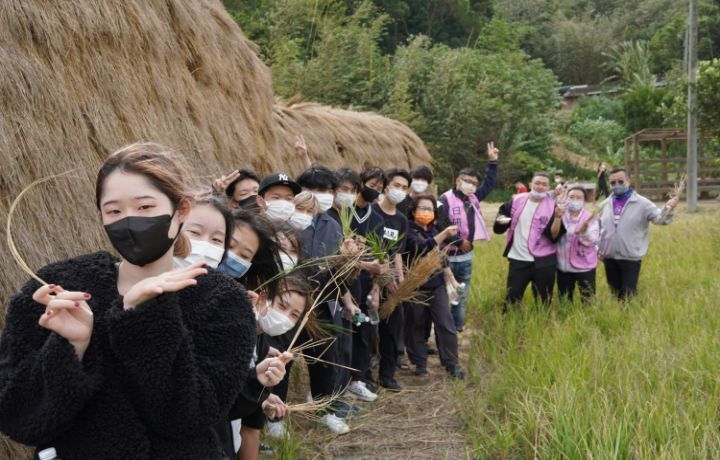 圖/日籍生在稻田間體驗台灣農村文化，促進國際交流。