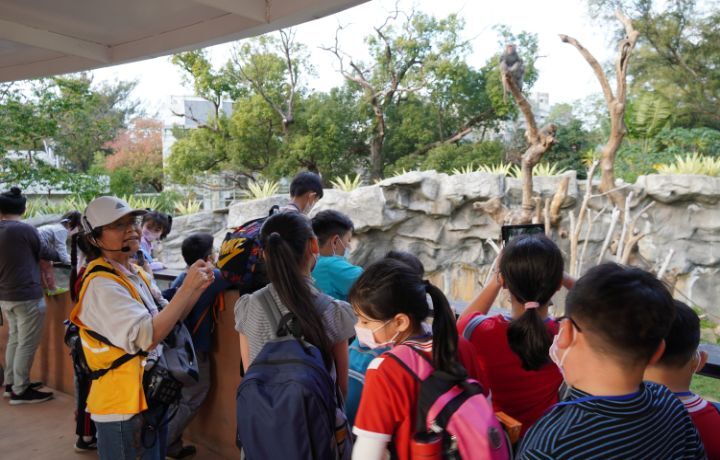 圖/南埔國小學童到新竹動物園參訪，由園方安排解說人員導覽。