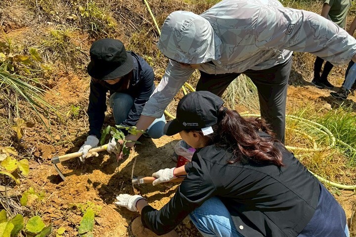 皇昌營造員工親手栽植樹苗,體驗山林復育過程,落實企業參與環境永續。