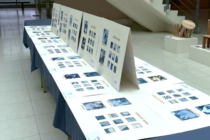 圖／廖柏晴老師創新結合AI技術，將學生的藍染成果轉化為AI再創作品。