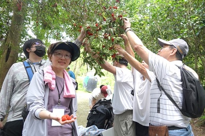 實踐綠色行動力！ 中華大學引領企業走進山林保育